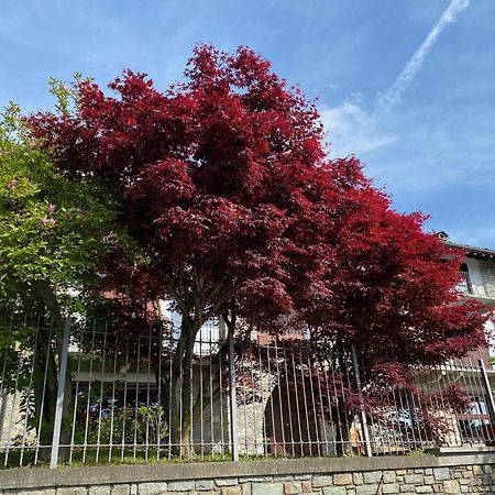 PessinettoLa Casa Di Nina - Traves别墅 外观 照片